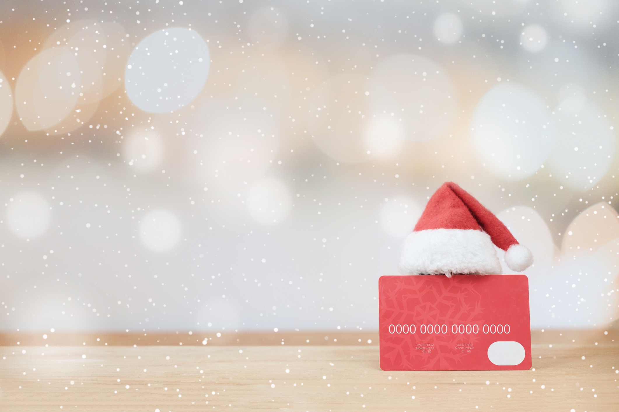 HOW TO FINANCE HOLIDAY AND SEASONAL EXPENSES USBNE